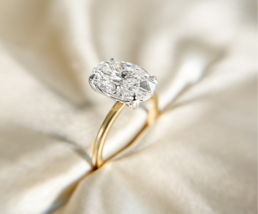 Embrace Every Special Occasion with Joy